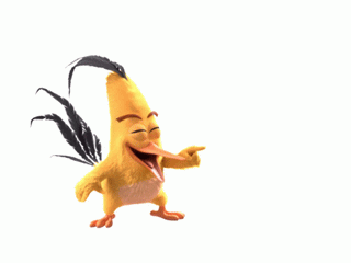 Gif animé LOL oiseau 